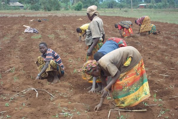 burundi redeeming the land farmer