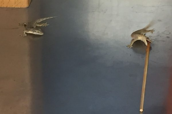 3CEADBEC-F337-47AA-93A8-198BA538AA50