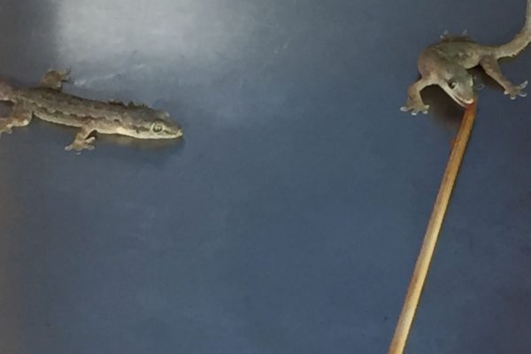 A03D614B-A024-40C3-8B5E-F4599330ED9E