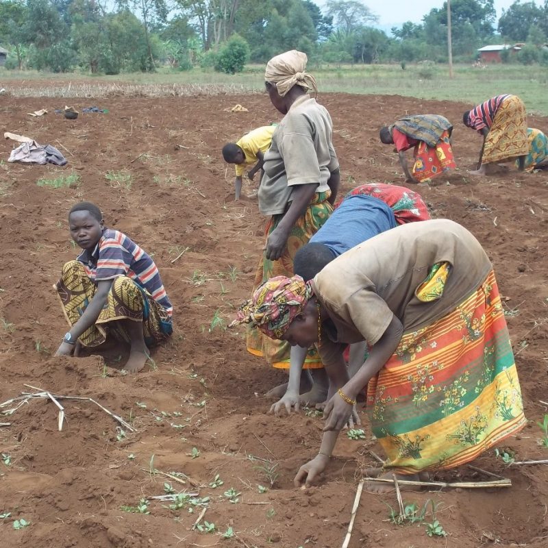 burundi redeeming the land farmer