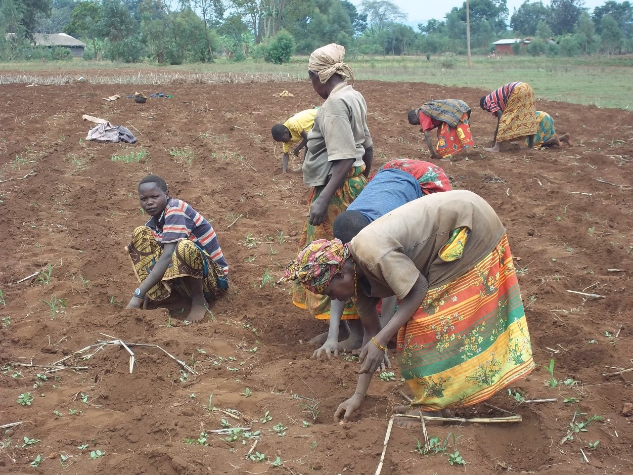 burundi redeeming the land farmer