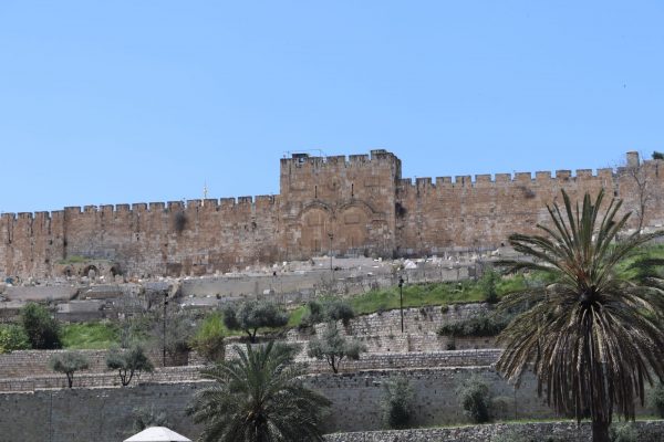 4.Holy Land-5