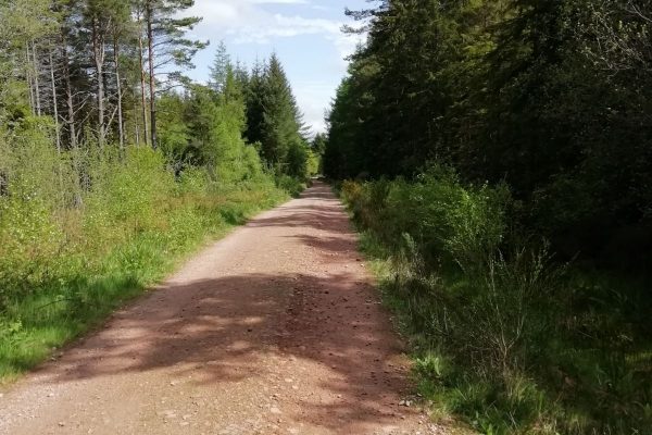 8.Stepping into the Future.2