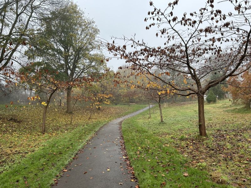 2.2 GYI-Autumn season